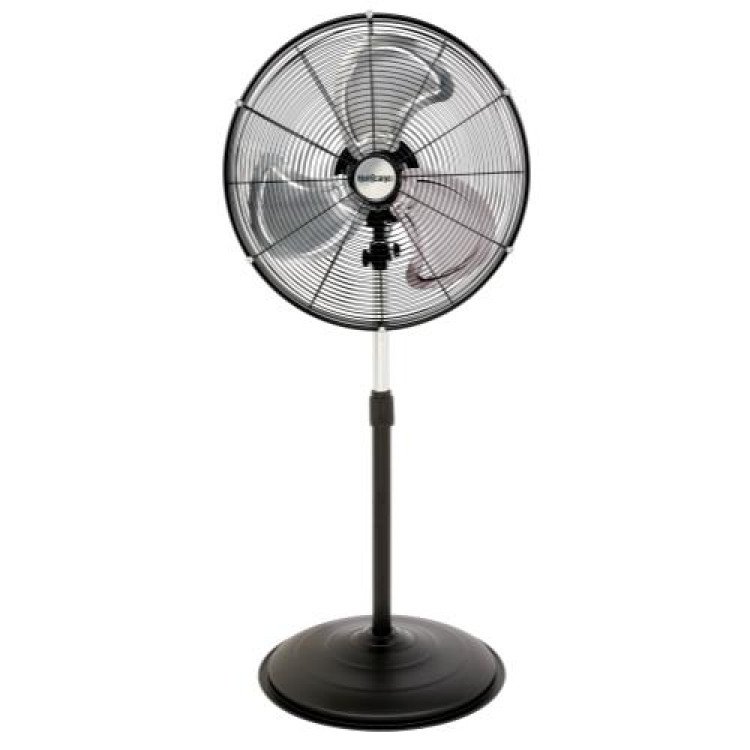 Fan Standing